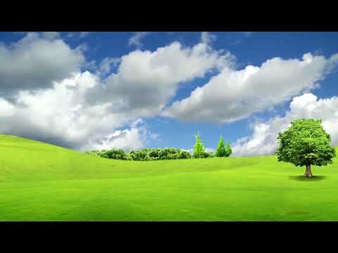 Amazing Nature Background Video, Nature Landscape free #BSmotion
