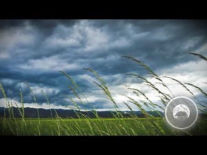 Wind Sound Effect High Quality 風 音效