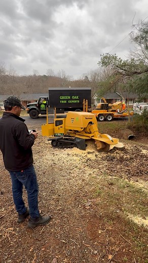 🌳💚 Green Oak Tree Experts 💚🌳 Professional, reliable, and family-owned! Our certified arborists and CPR-trained crew are ready for tree removals, pruning, stump grinding, lot clearing — whatever you need! 💪✨ We deliver quality, honesty, and results you can trust. 🙌🏡 📞 Free Estimates: 336-991-3450 🌟 Your local trusted tree experts! 🌟 | Green Oak Tree Experts