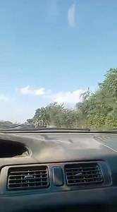 33K views · 187 reactions | Un seguidor del diario digital 5to Poder...