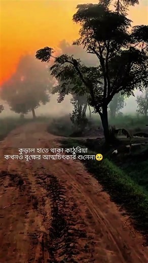 কুড়াল হাতে থাকা কাঠুরিয়া কখনও বৃক্ষের আত্মচিৎকার শুনে না#sad #viral #sadstatus #unfrezzmyaccount