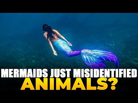 Were Mermaids Real? The Science Behind Ancient Sea Sightings Explained