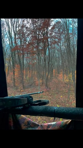 16 reactions | Guy’s weekend with my main man! Bows, crossbows, 4wheelers and some deer酪 #livinglife #goodtimes | Jesse Jay | Facebook