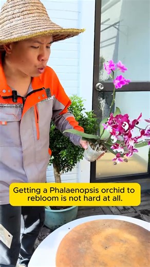 Gardening Soul on Instagram: "helpful tips for caring for plants"