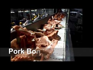 Máquinas POSS - Carnes deshuesadas mecánicamente