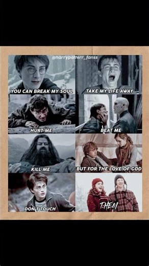 TitleDon’t Touch THEM 😤💔 | Harry Potter Emotional Edit #harrypotter #viralvideo #harrypotterworld
