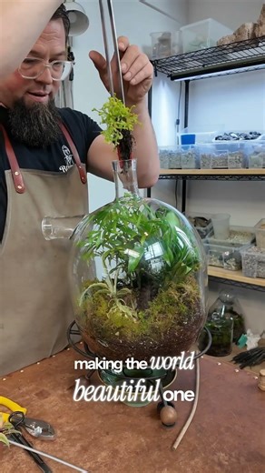 Terrarium Clean Up