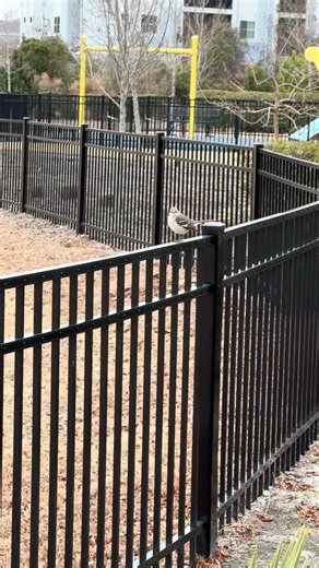 The rain has passed temps are dropping big cold snap coming to South Carolina this week