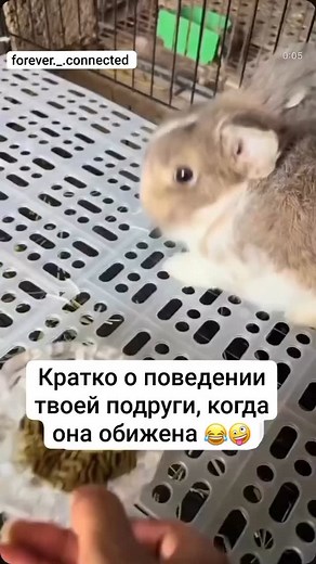 @forever._.connected | Реклама, сотрудничество в Direct 📩 @forever._.connected #top #rek #repost #like #top ##rells #bff | Instagram