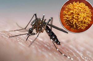 This Week's Health Headlines: Measles is back, Veggies first, & How snoozing affects sleep