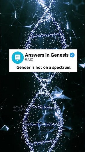 Male, Female, and No Other Option