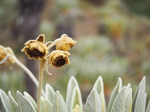 10 documentaires sur la Colombie à voir / Voyage en Colombie