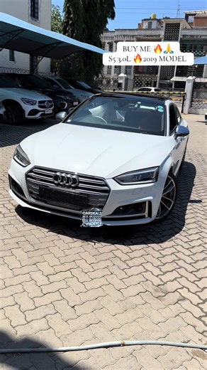2019 Audi S5 Performance Specs and Features