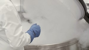 Consumer Reports: New, unproven stem cell treatment danger