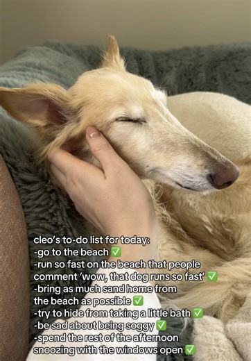 Engaging Beach Activities for a Productive Day