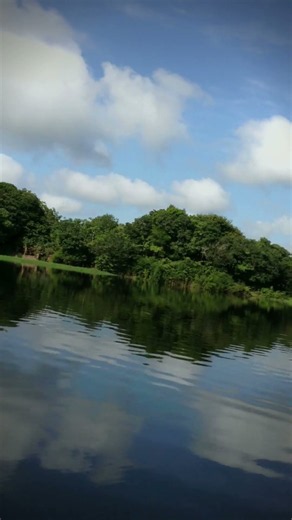 So still it doubles the clouds 🌥️ (real Amazon field recording)