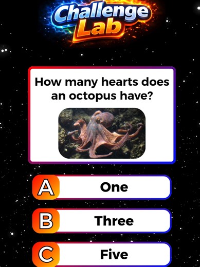 Engaging General Knowledge Trivia Quiz