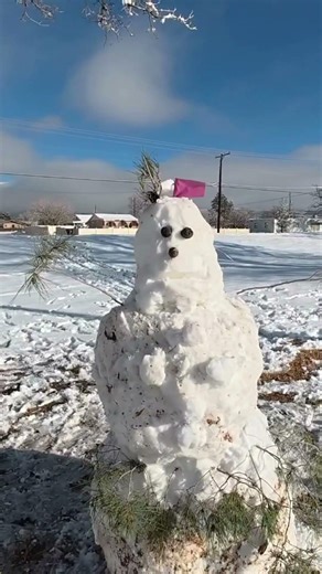 Crazy Snowman. CREATE!!!