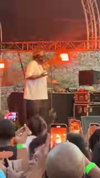 7.3K views · 534 reactions | Sjava is already a living Icon﫡 | Meddison SA | Facebook