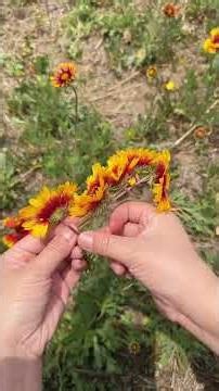Make a beautiful flower wreath from wild flowers by the roadside