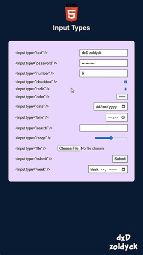 Input Types HTML #webdevelopment #coding