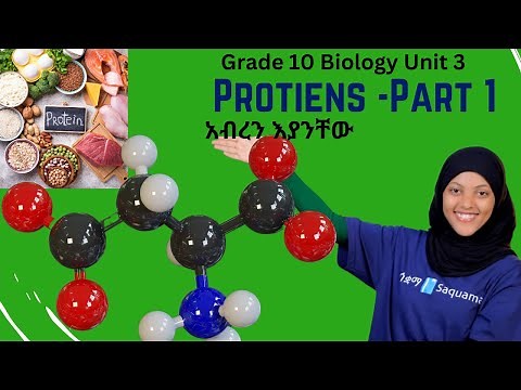 Grade 10 Biology Unit 3: 3.1.3 Proteins- part 1|ሳቋማ |Saquama