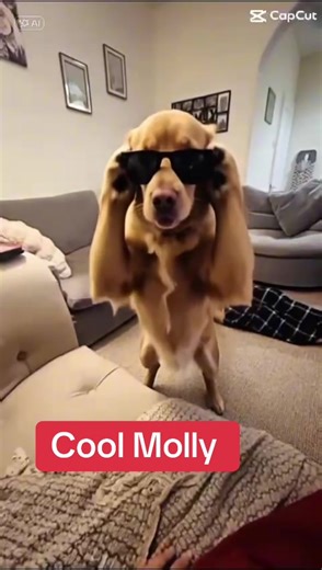 Scrubs&caretaking (@scrubscaretakin.c)’s videos with original sound - Scrubs&caretaking