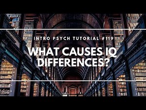 What Causes IQ Differences? (Intro Psych Tutorial #119)