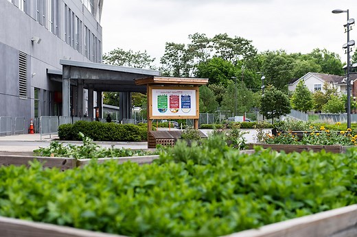 Sustainability at Mercedes-Benz Stadium | Leaders in Zero Waste