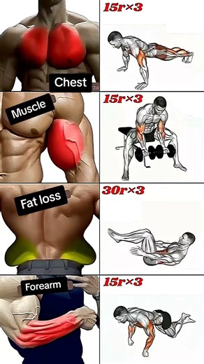 BEST Upper Body Exercises To Do At Home Now #Abs #Chest #Forearm #muscle #Exercise