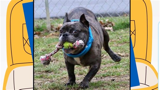 Local bank ups the ante with ‘Dog Days of Summer’