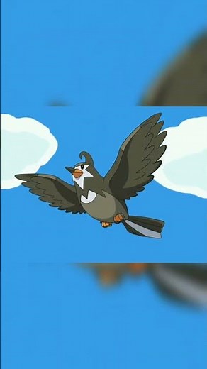 Ash's Starly evolves into Staravia
