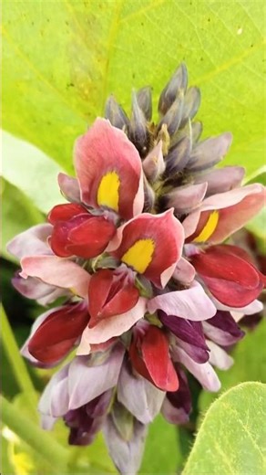 2025年10月19日 #nature