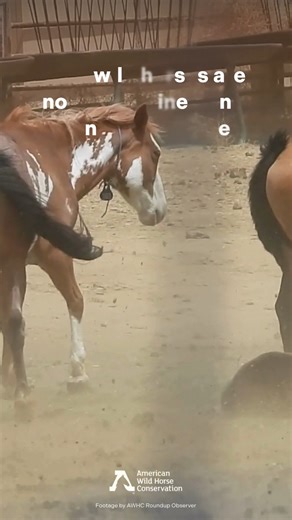 313K views · 9.6K reactions |   The true horror this halloween:...