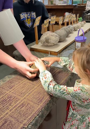 Exciting Geode Opening Experience with Monty the T-Rex