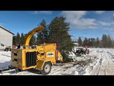 Eden Tree Service Partner Spotlight