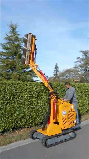 Unleash Your Garden's Potential with this Self-Propelled Hedger: Effortless Pruning Secrets!