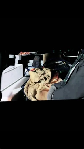 Dillon Diaz (@dillondiaz1)’s videos with White Horse - FeelGoodMusic