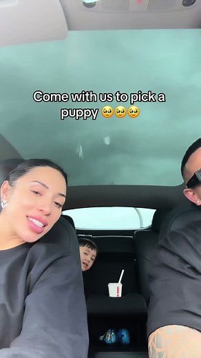 Join us to pick a puppy and see the adorable reaction of our dog Romy