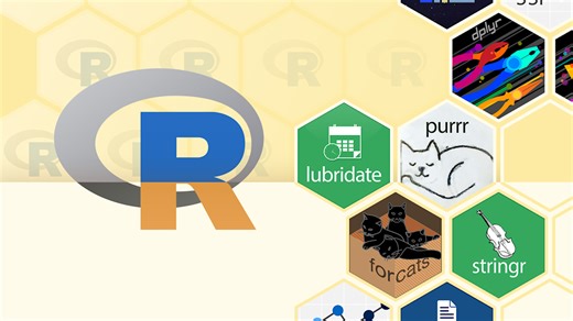 R is niche, but it's the language every statistician actually uses