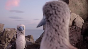 Don't put off your insurance any longer  | Chill Insurance | Facebook