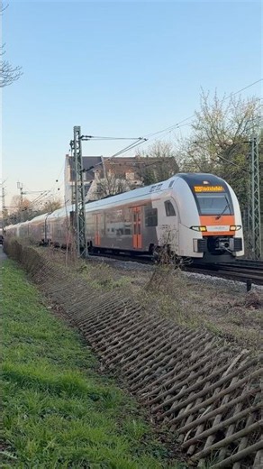 National Express 462 024 und 462 029 Siemens Desiro HC als RE 5 nach Friedrichsfeld in Bonn #br462
