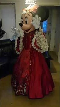 Minnie mouse costume