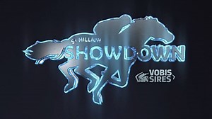 1.9K views · 25 reactions | The race is on for #TheShowdown! | Racing.com | Facebook