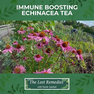 186 reactions · 37 shares | Strengthen your immune system with this...