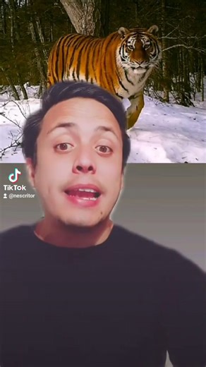 Cuento breve de la tradición oral coreana #storytime #cuentos #super