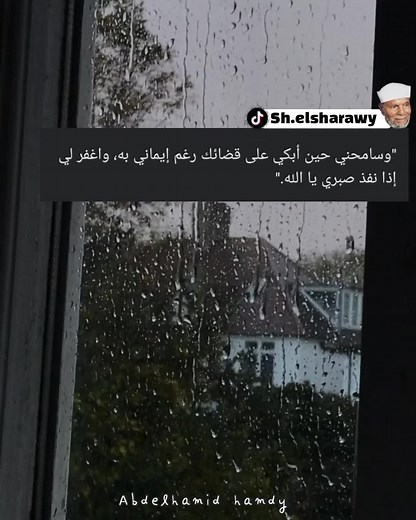 Rainy Day Window Views: Nature's Serenity