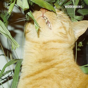 Widdershins - Widdershins