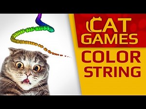 CAT GAMES - 😺 AMAZING COLOR STRING !!! (VIDEOS FOR CATS TO WATCH) 60FPS