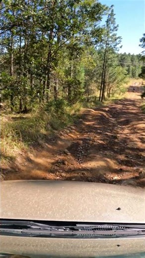 Rutted track Lifted Suzuki Grand Vitara at Glass House Mt #shorts #grandvitara #suzuki #4wd #offroad